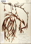 000045087-thumbnail.jpg