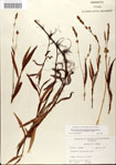 000045088-thumbnail.jpg