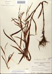 000045090-thumbnail.jpg