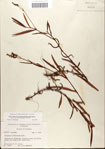 000045091-thumbnail.jpg