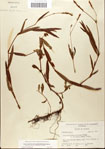 000045092-thumbnail.jpg