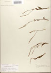 000045094-thumbnail.jpg