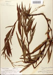 000045098-thumbnail.jpg
