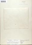000045100-thumbnail.jpg