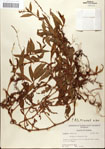 000045104-thumbnail.jpg