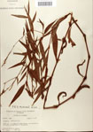 000045105-thumbnail.jpg