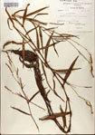 000045106-thumbnail.jpg