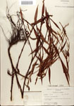 000045107-thumbnail.jpg