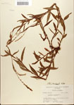 000045108-thumbnail.jpg