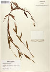000045112-thumbnail.jpg
