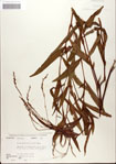 000045114-thumbnail.jpg