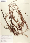 000045116-thumbnail.jpg
