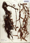 000045118-thumbnail.jpg