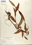 000045119-thumbnail.jpg