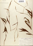 000045120-thumbnail.jpg