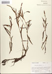 000045122-thumbnail.jpg