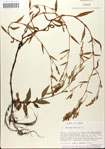 000045123-thumbnail.jpg