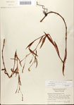 000045124-thumbnail.jpg