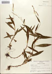 000045125-thumbnail.jpg