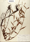 000045127-thumbnail.jpg