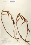 000045130-thumbnail.jpg