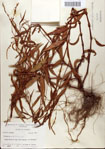 000045131-thumbnail.jpg