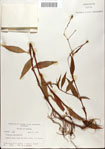 000045132-thumbnail.jpg