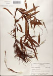 000045133-thumbnail.jpg