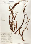 000045134-thumbnail.jpg