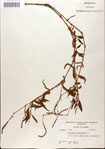 000045135-thumbnail.jpg