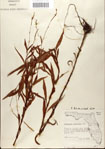 000045138-thumbnail.jpg