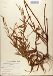 000045143-thumbnail.jpg