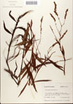 000045144-thumbnail.jpg