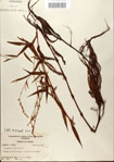 000045145-thumbnail.jpg