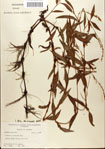 000045146-thumbnail.jpg