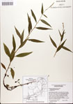 000045148-thumbnail.jpg