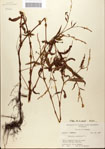 000045151-thumbnail.jpg