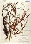 000045152-thumbnail.jpg