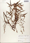 000045154-thumbnail.jpg