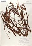 000045156-thumbnail.jpg