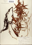 000045157-thumbnail.jpg