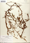 000045159-thumbnail.jpg