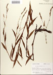 000045161-thumbnail.jpg