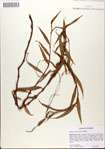 000045163-thumbnail.jpg
