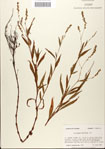 000045167-thumbnail.jpg