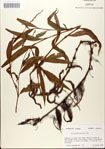000045169-thumbnail.jpg