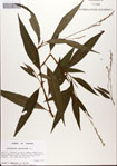 000045170-thumbnail.jpg