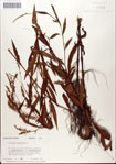 000045172-thumbnail.jpg
