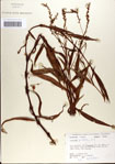 000045176-thumbnail.jpg