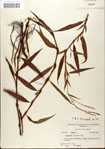 000045178-thumbnail.jpg